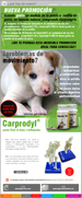 carprodyl promocíon