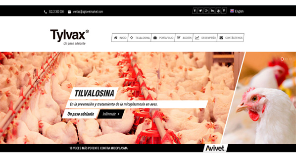 tilvalosina.com, the new site of Avivet®
