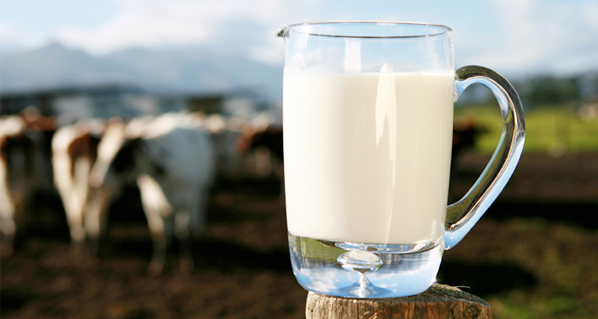 Milk World Day