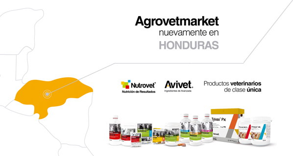 Línea de aves y cerdos de Agrovet Market Animal Health ahora en Honduras