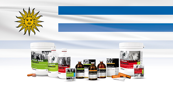 Agrovet Market expands product portfolio in Uruguay