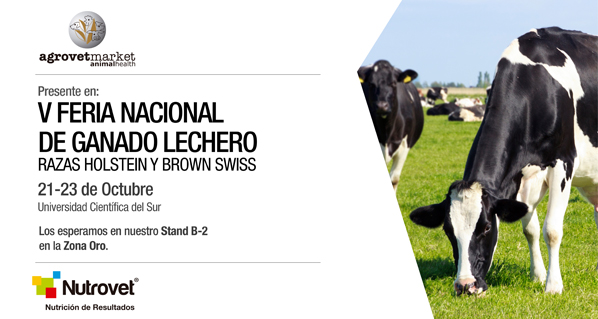 Agrovet Market invites you to participate in the V National Fair of Dairy Cattle Breeds Holstein and Brown Swiss