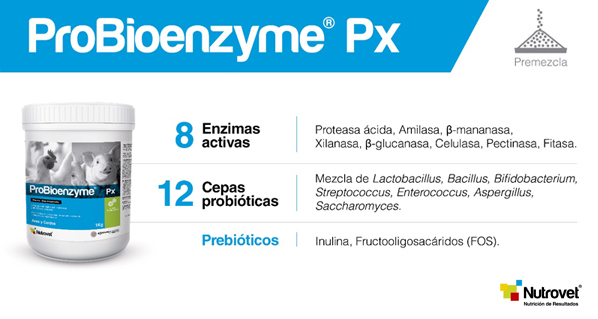 ProBioenzyme® Px