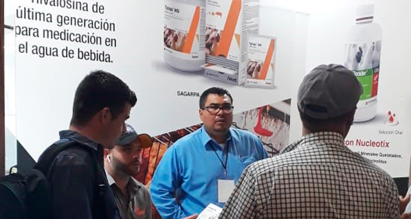 Avivet presente en el Congreso Internacional AVEM 2019