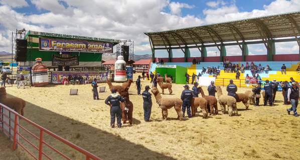 Agrovet Market presente en la Feria Nacional FECASAM 2019