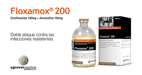 Floxamox® 200, Doble Ataque contra las Infecciones Resistentes