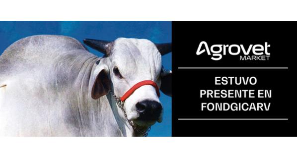 AGROVET MARKET PRESENTE EN XXXVI CONCURSO NACIONAL DE GANADO VACUNO DE ENGORDE