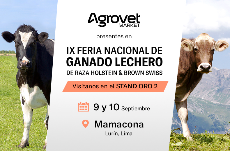 Agrovet Market los invita a participar de la IX Feria Nacional de Ganado Lechero de raza Holstein y Brown Swiss