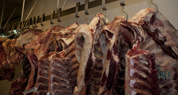 World meat consumption will increase in the next 10 years