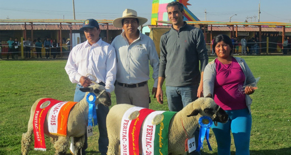 Agrovet Market was present in trade fair promoting the dairy activity in Tacna