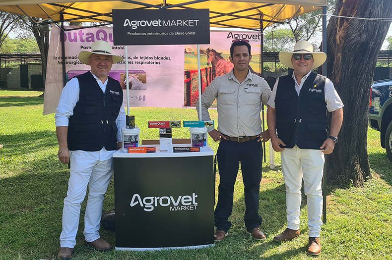 Agrovet Market and its Equestria line were present at the XXXIII Regional Peruvian Paso Horse Competition – Piura 2025