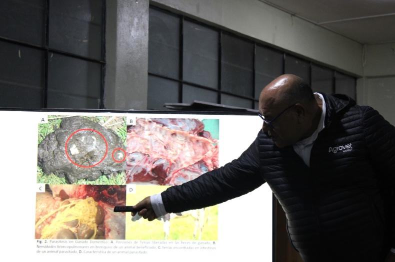 Agrovet Market impulsa el fortalecimiento de capacidades en cuidado y sanidad animal en el distrito de Huasta (Ancash)