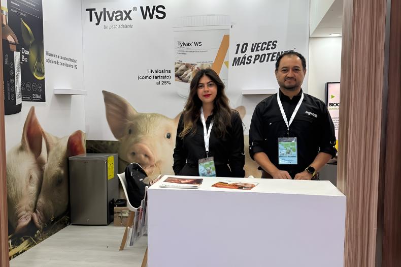 Avivet® protagoniza el encuentro porcino en AMVECAJ 2026.