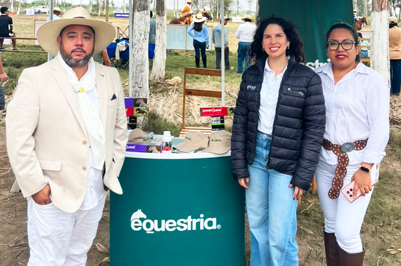 Equestria at the 10th Lambayeque Regional Peruvian Paso Horse Competition