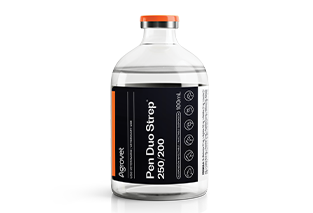Pen Duo Strep® 250/200