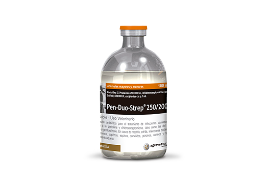 Pen Duo Strep® 250/200 combinación antibiótica sinérgica de amplio espectro 