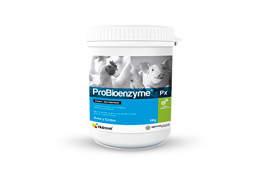 Probioenzyme® Px premezcla multienzimática – prebiótica - multiprobiótica 