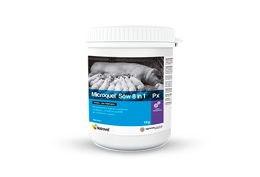 Microquel® Sow 8 in 1 Px microlelementos orgánicos quelatados y protegidos con metionina para marranas 
