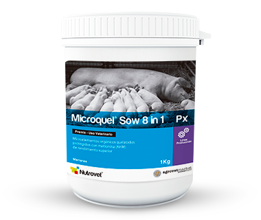 Microquel® Sow 8 in 1 Px