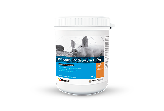 Microquel® Pig Grow 8 in 1 Px microelementos orgánicos quelatados y protegidos con metionina para lechones en crecimiento 