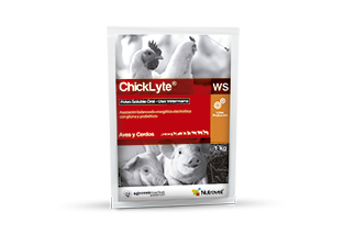 ChickLyte® WS | HidroLyte® WS