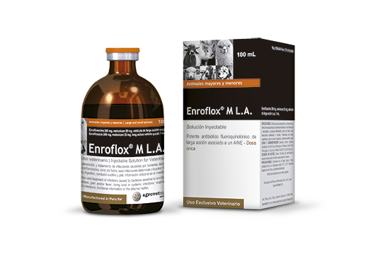 Enroflox® M L.A. potente antibiótico fluoroquinolónico de larga acción asociado con antiinflamatorio no esteroideo 