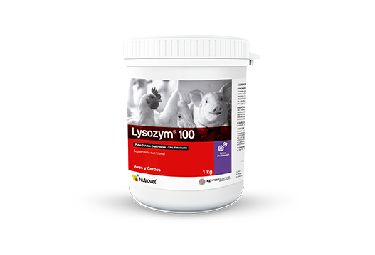 Lysozym® 100 | Zymex 100 aditivo natural - suplemento nutricional promotor del crecimiento 