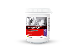 Lysozym® 100 | Zymex 100