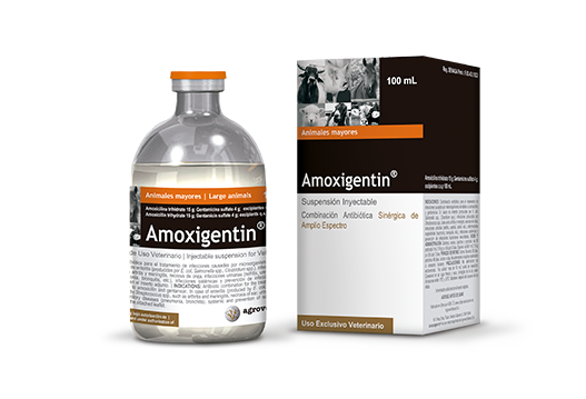 Amoxigentin® combinación antibiótica sinérgica de amplio espectro 
