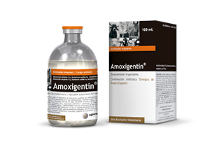 Amoxigentin®