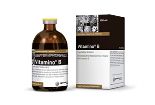 Vitamino® B