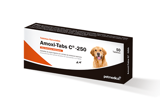 Amoxi-Tabs C®-250 antibiótico de amplio espectro con inhibidor de resistencia bacteriana 