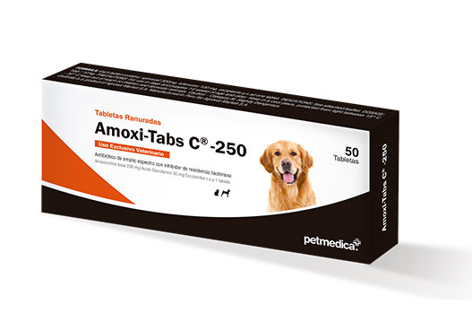 Amoxi-Tabs C®-250