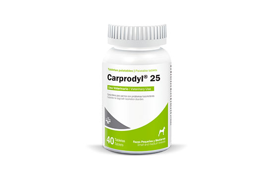 Carprodyl® 25