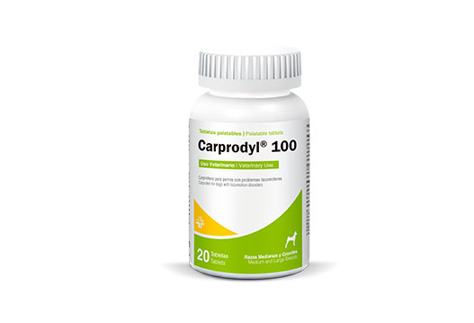 Carprodyl® 100