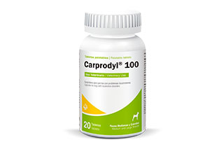 Carprodyl® 100