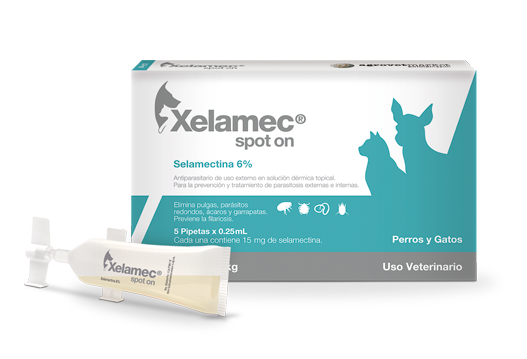 Xelamec® Spot On on the inside and outside 
