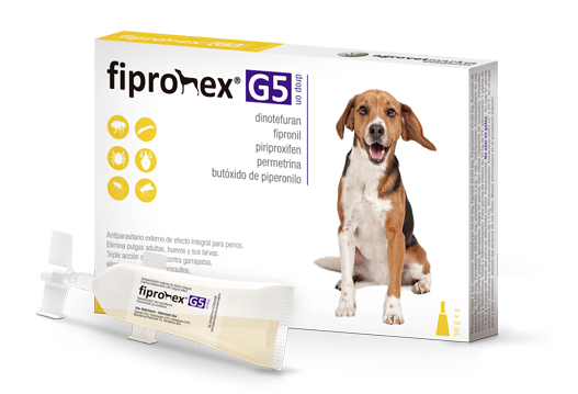 Effectiveness of a solution based on Fipronil, pyriproxyfen, piperonyl butoxide, permethrin and dinotefuran (Fipronex® G5 Drop on) for the control of fleas in naturally infested canines.
