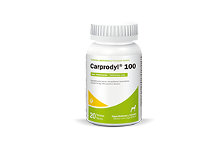 Carprodyl® 100