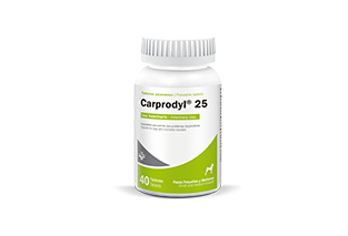 Carprodyl® 25