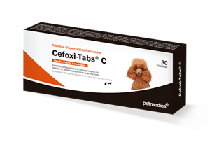 Cefoxi-Tabs® C