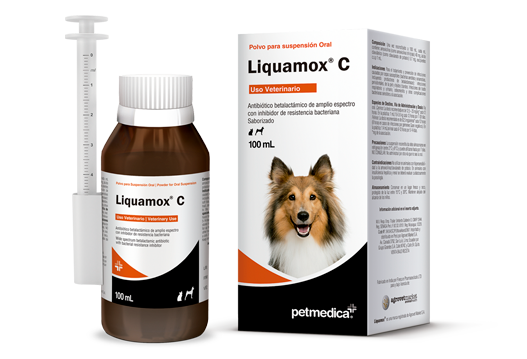 Liquamox C antibiótico betalactámico de amplio espectro con inhibidor de resistencia bacteriana 