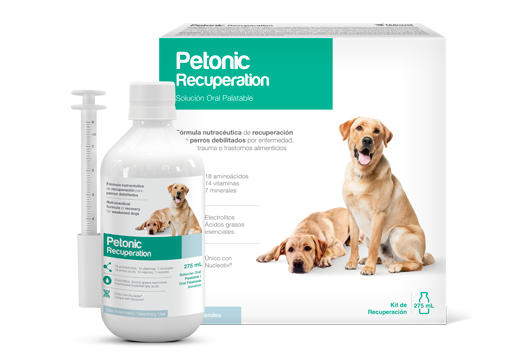 Efficacy of a formulation based on vitamins, amino acids, minerals and nucleotides (Petonic ® Recuperation) in stimulating appetite and the consumption of water and food and in improving the hematological values of canines with inadequate nutrition.