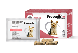 Proventis® 10