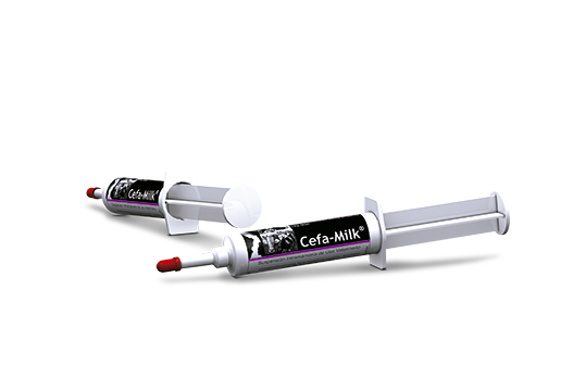 Cefa-Milk® antibiotic infusion for lactating cows 