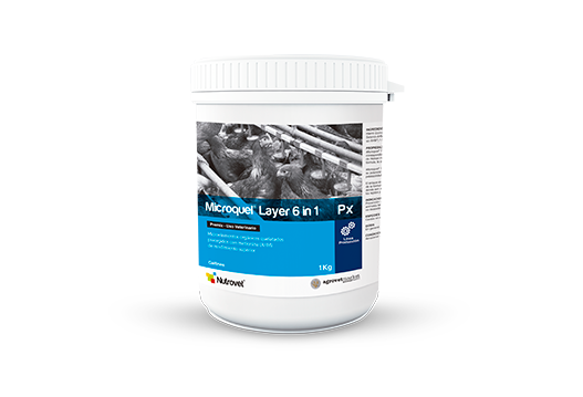 Microquel® Layer 6 in 1 Px microelementos orgánicos quelatados y protegidos con metionina para gallinas de postura. 
