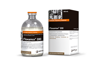 Floxamox® 200