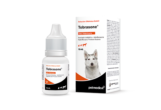 Tobrasone® asociación antibiótica - antinflamatoria específica para procesos oculares 