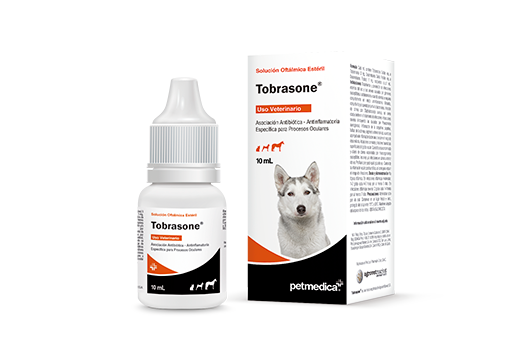 Tobrasone® antibiotic association - specific anti-inflammatory for eye processes 