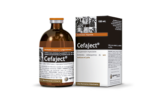 Cefaject®